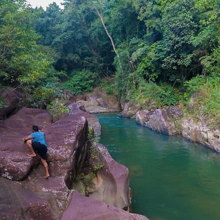 Jungle River Ginigathena المظهر الخارجي الصورة