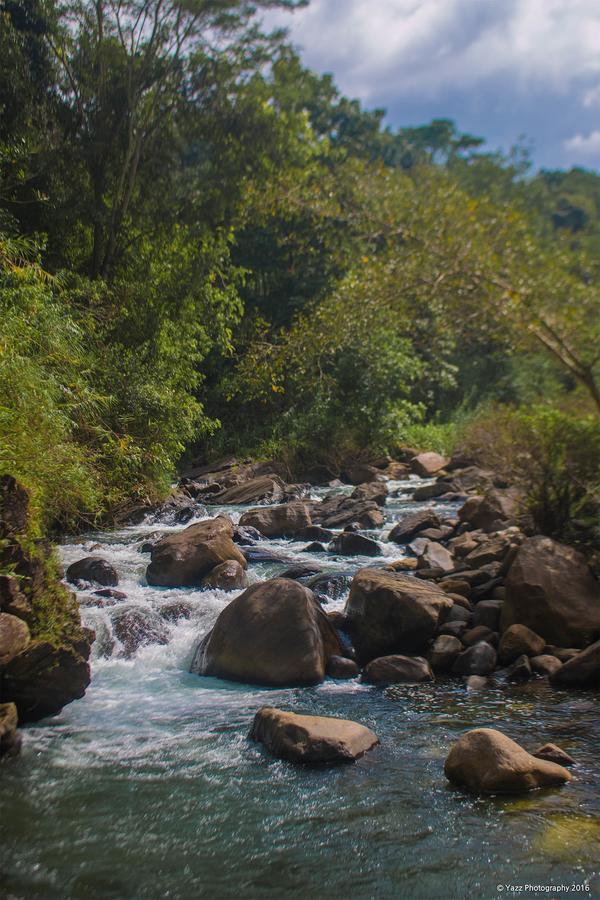 Jungle River Ginigathena المظهر الخارجي الصورة