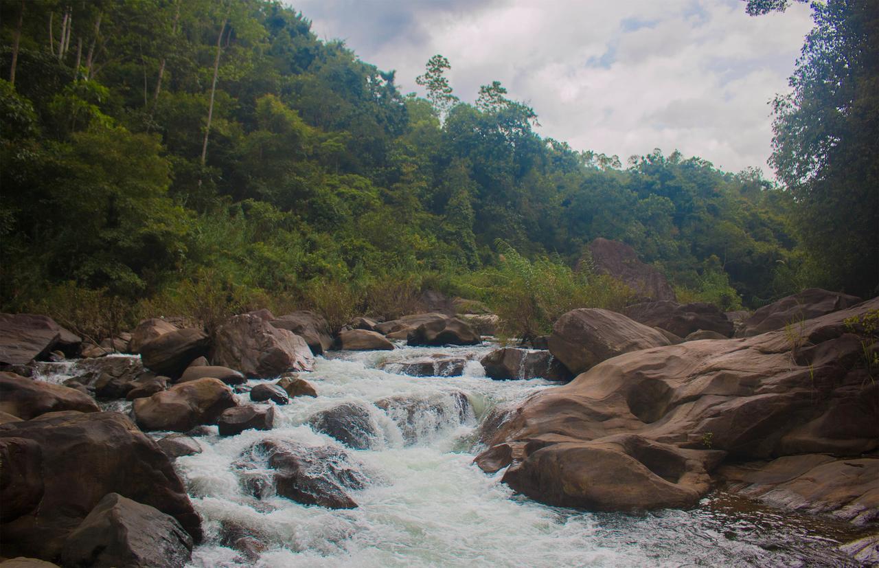 Jungle River Ginigathena المظهر الخارجي الصورة