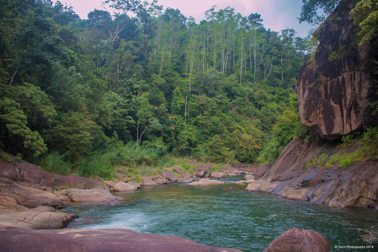 Jungle River Ginigathena المظهر الخارجي الصورة