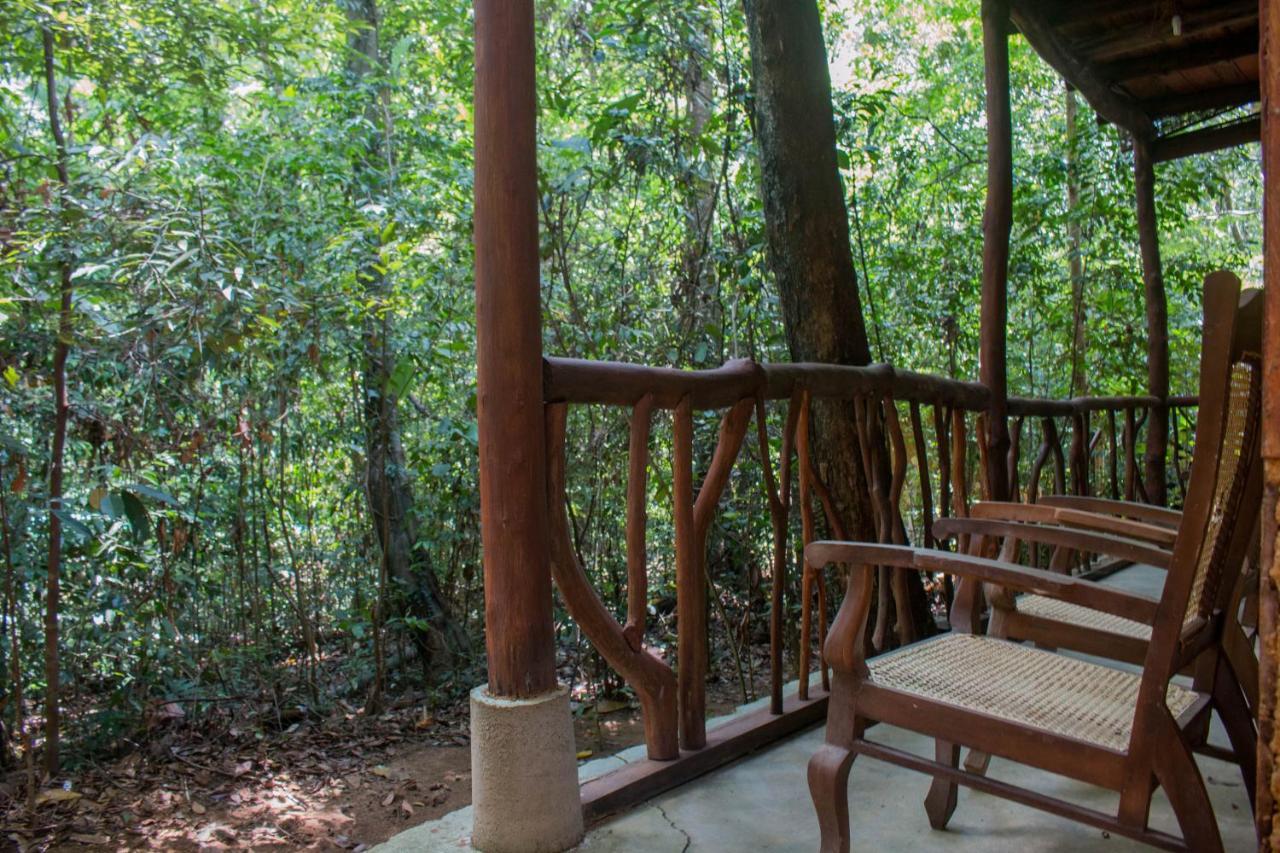 Jungle River Ginigathena المظهر الخارجي الصورة