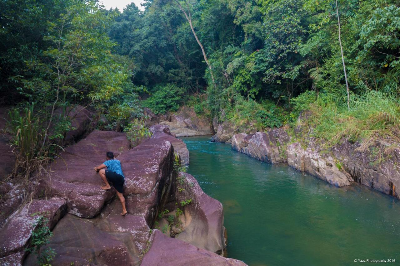 Jungle River Ginigathena المظهر الخارجي الصورة